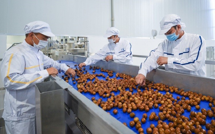 Sơn La: Phát triển hàng hóa nông sản chất lượng cao gắn với thương hiệu địa phương