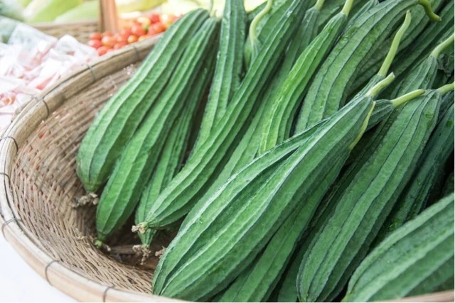 Bài thuốc hay từ mướp khía Bài thuốc hay từ mướp khía