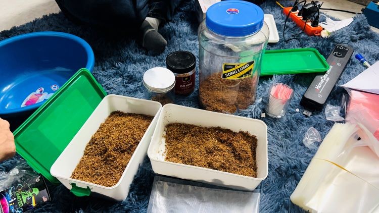 Lào Cai: Bắt giữ 2 đối tượng bán ma túy Tobaco Lào Cai: Bắt giữ 2 đối tượng bán ma túy Tobaco