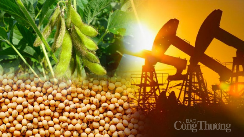 Thị trường hàng hóa ngày 8/1/2024: Giá dầu tăng mạnh, sắc đỏ áp đảo bảng giá nông sản Thị trường hàng hóa ngày 8/1/2024: Giá dầu tăng mạnh, sắc đỏ áp đảo bảng giá nông sản