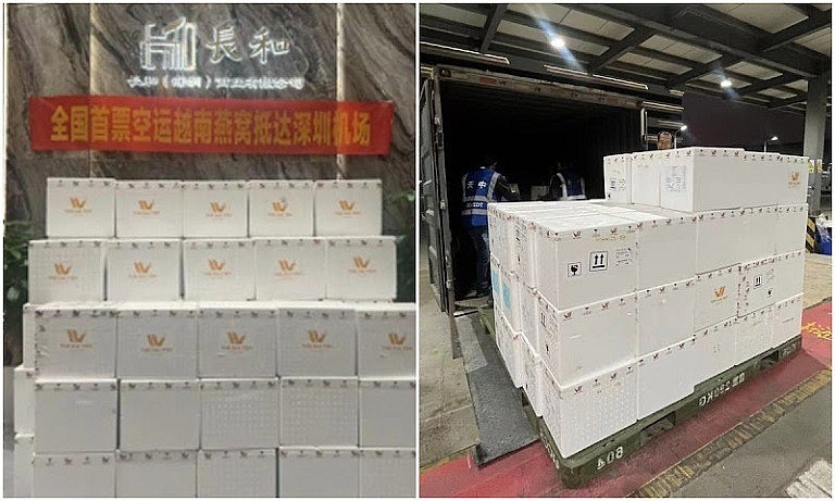 100% sản phẩm tổ Yến sào chất lượng cao của The Hải Yến được thông quan và giao đến tay đối tác thuận lợi 100% sản phẩm tổ Yến sào chất lượng cao của The Hải Yến được thông quan và giao đến tay đối tác thuận lợi