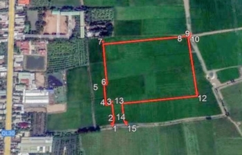 Đồng Tháp chấp thuận chủ trương đầu tư dự án đường dây 220kV Hồng Ngự - Châu Đốc