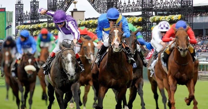 Đang lấy ý kiến vào dự án trường đua ngựa Sóc Sơn của nhà đầu tư Hàn Quốc Đang lấy ý kiến vào dự án trường đua ngựa Sóc Sơn của nhà đầu tư Hàn Quốc