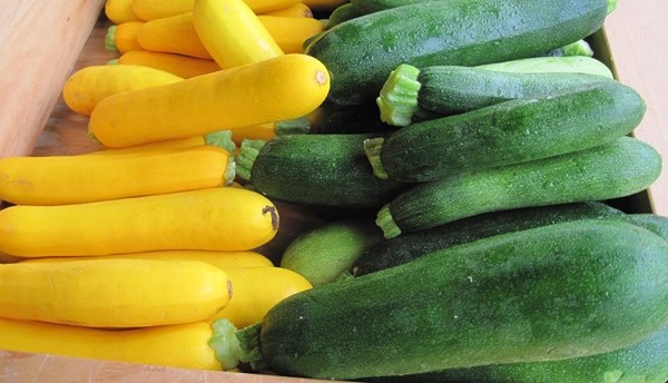 Ảnh minh họa Ảnh minh họa