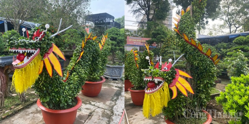 Những siêu phẩm độc lạ đón Tết Giáp Thìn: Hết bưởi, dưa hấu dát vàng nay cả dừa, quất cũng “đắp” Những siêu phẩm độc lạ đón Tết Giáp Thìn: Hết bưởi, dưa hấu dát vàng nay cả dừa, quất cũng “đắp”