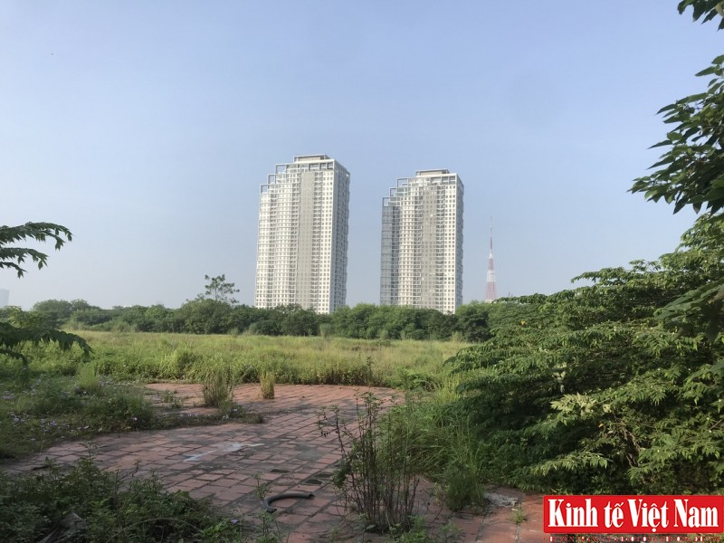 Thị trường bất động sản 6 tháng cuối năm 2023: Giao dịch đất nền tăng 28% Thị trường bất động sản 6 tháng cuối năm 2023: Giao dịch đất nền tăng 28%