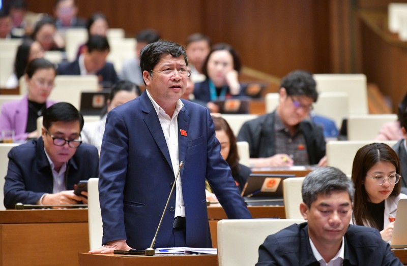 Đại biểu Tạ Văn Hạ - đoàn Quảng Nam Đại biểu Tạ Văn Hạ - đoàn Quảng Nam