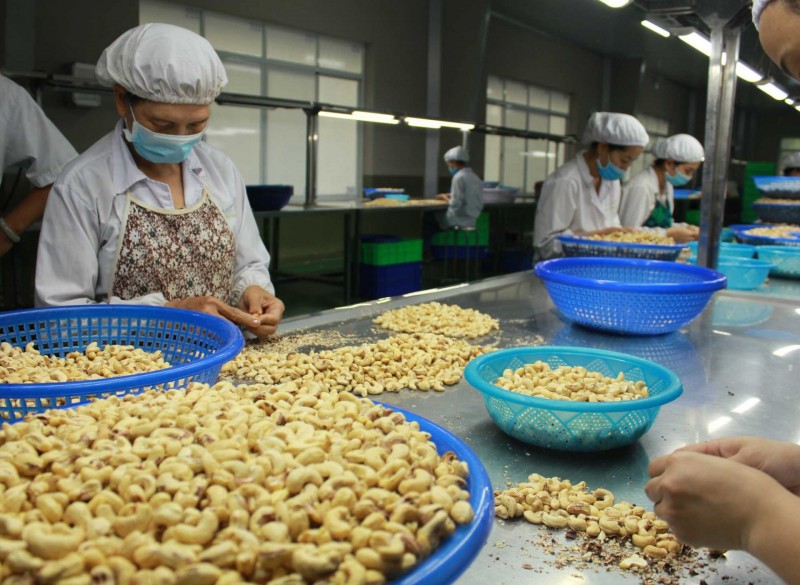 Đối tác chậm thanh toán tiền hàng, Thương vụ Việt Nam tại Tây Ban Nha cảnh báo doanh nghiệp Đối tác chậm thanh toán tiền hàng, Thương vụ Việt Nam tại Tây Ban Nha cảnh báo doanh nghiệp