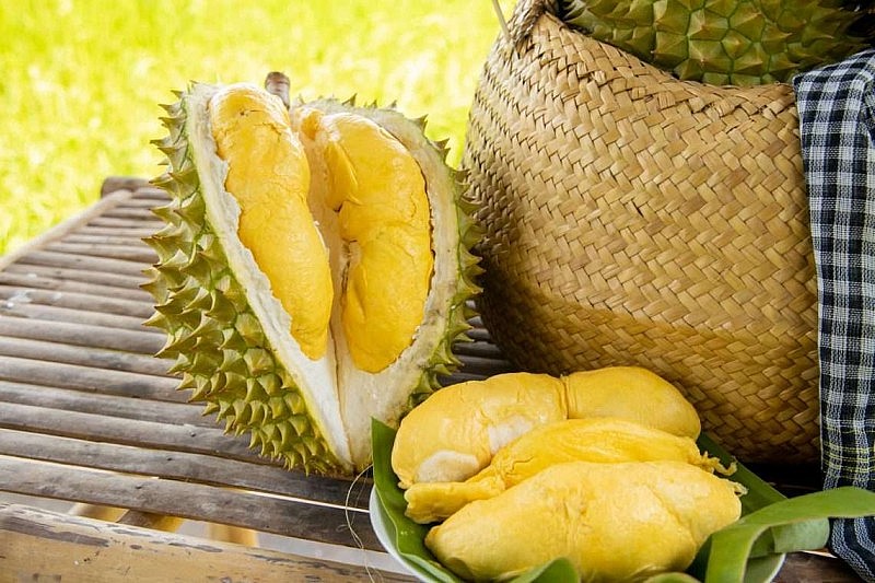 Năm 2023, thị phần rau quả Việt tại thị trường Trung Quốc tăng gần gấp đôi Năm 2023, thị phần rau quả Việt tại thị trường Trung Quốc tăng gần gấp đôi