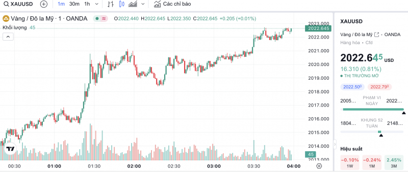 Giá vàng hôm nay 19/1/2024: Vàng đồng loạt "quay đầu" bật tăng trở lại