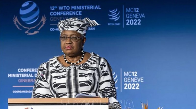 Tổng Giám đốc WTO không lạc quan về tình hình thương mại toàn cầu trong năm 2024 Tổng Giám đốc WTO không lạc quan về tình hình thương mại toàn cầu trong năm 2024