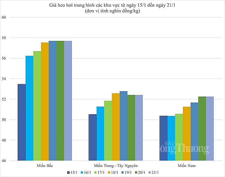 Biến động giá heo hơi trong tuần Biến động giá heo hơi trong tuần