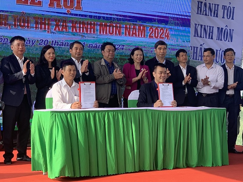 Hải Dương: Lần đầu tiên tổ chức Lễ hội thu hoạch hành, tỏi thị xã Kinh Môn Hải Dương: Lần đầu tiên tổ chức Lễ hội thu hoạch hành, tỏi thị xã Kinh Môn