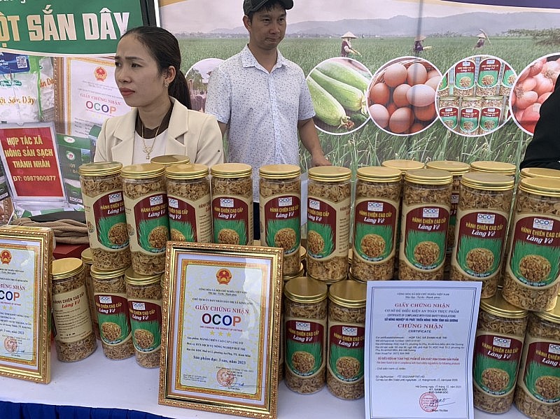 Hải Dương: Lần đầu tiên tổ chức Lễ hội thu hoạch hành, tỏi thị xã Kinh Môn Hải Dương: Lần đầu tiên tổ chức Lễ hội thu hoạch hành, tỏi thị xã Kinh Môn