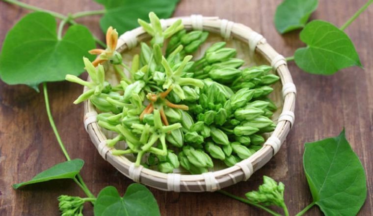 Hoa thiên lý có tác dụng phòng và hỗ trợ chữa nhiều loại bệnh (Nguồn: Internet) Hoa thiên lý có tác dụng phòng và hỗ trợ chữa nhiều loại bệnh (Nguồn: Internet)