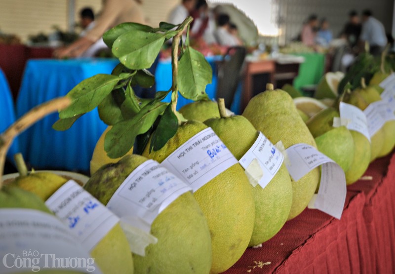 Vĩnh Long: Vụ Tết đìu hiu ở xứ sở bưởi Năm Roi