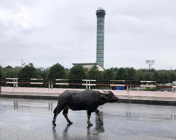 Cảng vụ miền Bắc nói về việc 