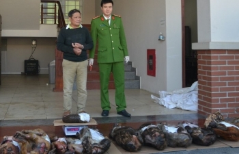 Nghệ An: Bắt đối tượng mua bán trái phép 1,2 tạ động vật hoang dã, quý hiếm