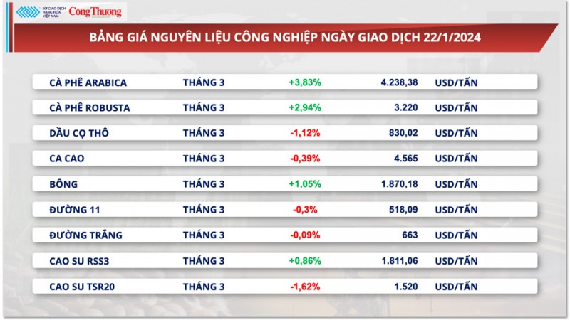 Gián đoạn chuỗi cung ứng, giá cà phê xuất khẩu tiếp tục đi lên mức cao nhất Gián đoạn chuỗi cung ứng, giá cà phê xuất khẩu tiếp tục đi lên mức cao nhất