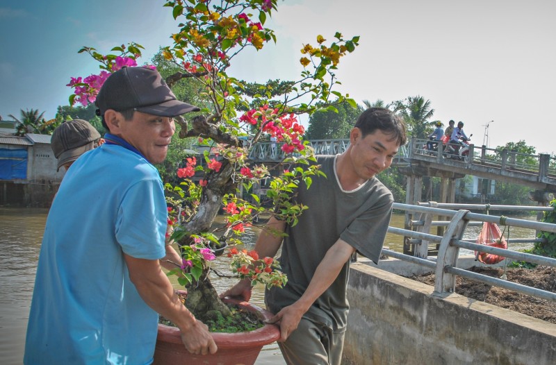 Từ khi được công nhận làng nghề vào năm 2022, sản phẩm của làng nghề hoa giấy ở xã Tân Dương (huyện Lai Vung, tỉnh Đồng Tháp) càng được khách hàng nhiều nơi biết đến. Từ khi được công nhận làng nghề vào năm 2022, sản phẩm của làng nghề hoa giấy ở xã Tân Dương (huyện Lai Vung, tỉnh Đồng Tháp) càng được khách hàng nhiều nơi biết đến.