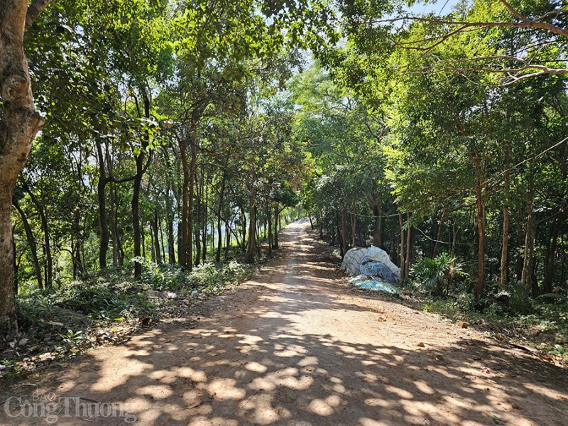 Dự án Đồi Sao Phú Quốc lần 3 lỡ hẹn, xin giãn tiến độ nhưng bị từ chối