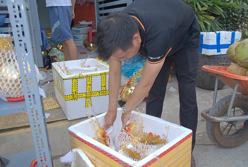 TP. Hồ Chí Minh: Dừa dát vàng 24K trưng Tết 1 triệu đồng/cặp cháy hàng TP. Hồ Chí Minh: Dừa dát vàng 24K trưng Tết 1 triệu đồng/cặp cháy hàng