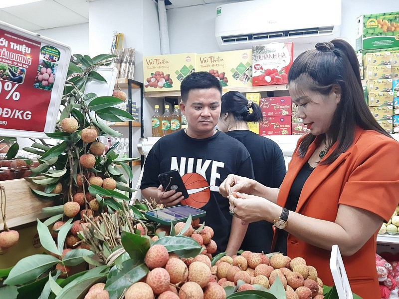 Hải Dương đã quảng bá hình ảnh, thương hiệu và sản phẩm của mình ra thị trường trong nước và quốc tế. Ảnh: TP Hải Dương đã quảng bá hình ảnh, thương hiệu và sản phẩm của mình ra thị trường trong nước và quốc tế. Ảnh: TP