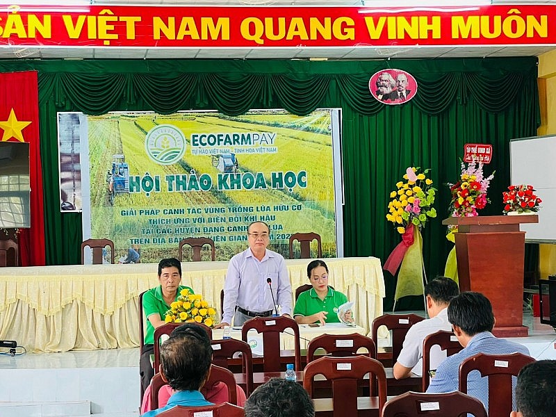 Một doanh nghiệp thu mua lúa gạo sạch giá cao hơn thị trường Một doanh nghiệp thu mua lúa gạo sạch giá cao hơn thị trường