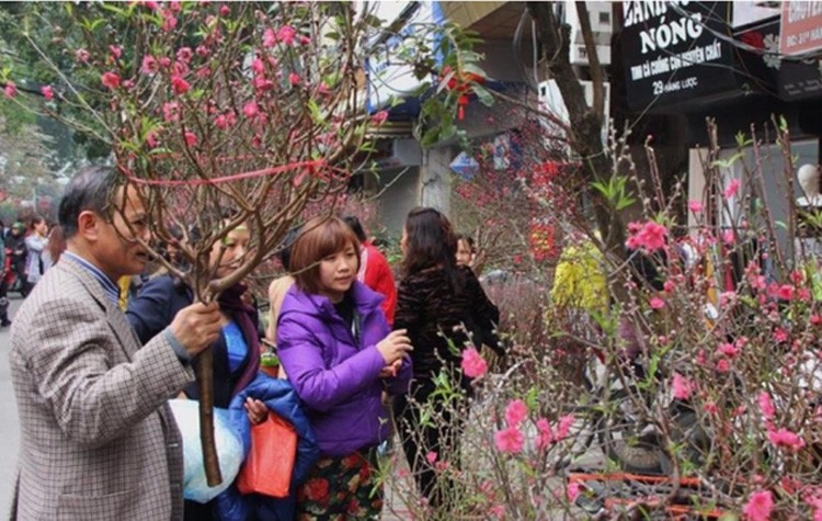 Thời tiết Tết Nguyên đán Giáp Thìn 2024 miền Bắc có xảy ra rét đậm, rét hại? Thời tiết Tết Nguyên đán Giáp Thìn 2024 miền Bắc có xảy ra rét đậm, rét hại?