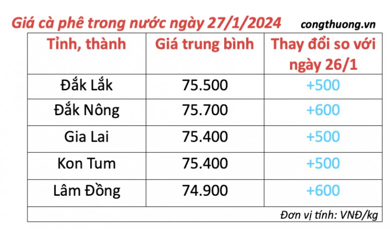 Giá cà phê hôm nay, 27/1/2024: Giá cà phê trong nước Giá cà phê hôm nay, 27/1/2024: Giá cà phê trong nước