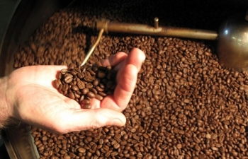 Cà phê Robusta vẫn có cơ hội hướng tới các vùng đỉnh mới