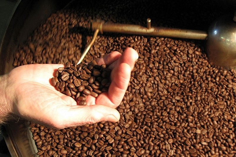 giá Robusta xác định mức cao mới trong 16 năm
