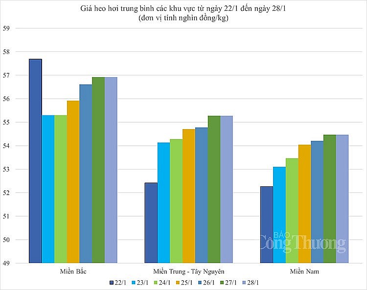 Biến động giá heo hơi Biến động giá heo hơi