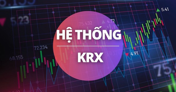 Những cổ phiếu tiềm năng 2024 nằm ở nhóm ngành nào? Những cổ phiếu tiềm năng 2024 nằm ở nhóm ngành nào?