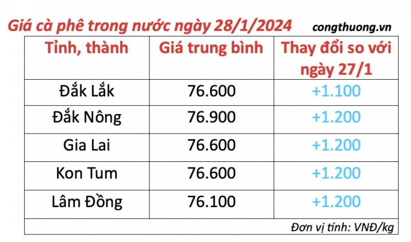 Giá cà phê hôm nay, 28/1/2024: Giá cà phê trong nước Giá cà phê hôm nay, 28/1/2024: Giá cà phê trong nước