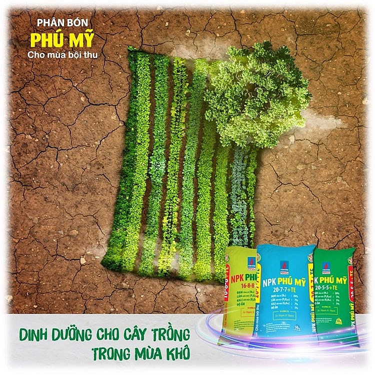 Một loại sản phẩm giúp nông dân 3 giảm, 3 tăng Một loại sản phẩm giúp nông dân 3 giảm, 3 tăng