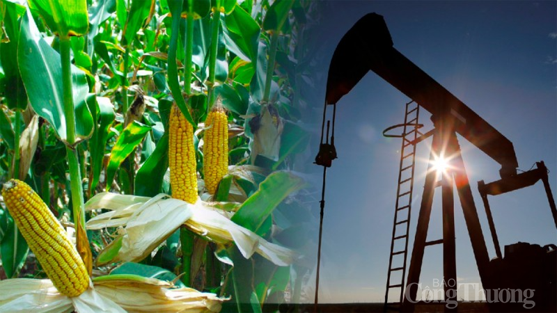 Thị trường hàng hóa hôm nay 30/1: Năng lượng dẫn dắt xu hướng thị trường hàng hóa ngày hôm qua Thị trường hàng hóa hôm nay 30/1: Năng lượng dẫn dắt xu hướng thị trường hàng hóa ngày hôm qua