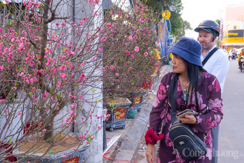 Khách hàng chọn mua hoa đào để trang trí dịp tết. Khách hàng chọn mua hoa đào để trang trí dịp tết.