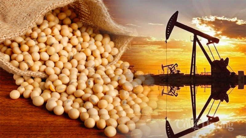 Thị trường hàng hóa hôm nay 2/2:Giá dầu biến động mạnh; thị trường đậu tương chịu áp lực bán mạnh Thị trường hàng hóa hôm nay 2/2:Giá dầu biến động mạnh; thị trường đậu tương chịu áp lực bán mạnh