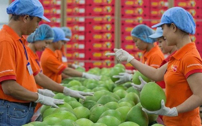 EU tiếp tục ra quy định mới về dư lượng thuốc bảo vệ thực vật với hàng nông sản