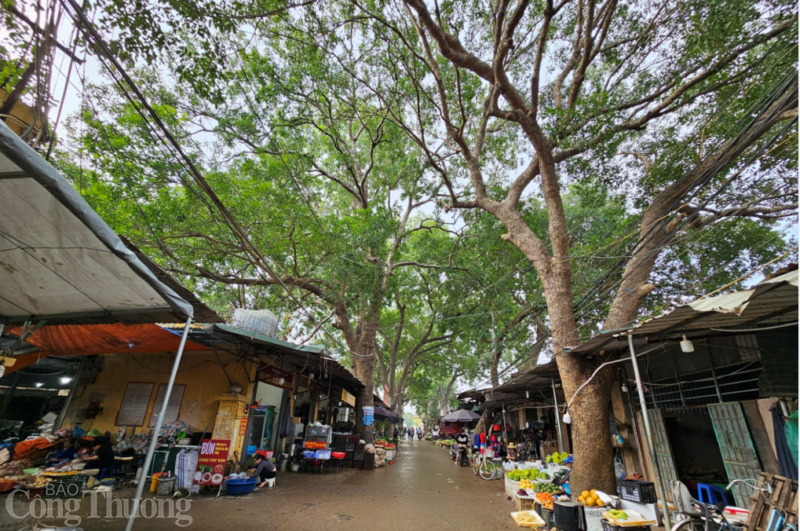 Có một ngôi chợ quê giữa lòng Hà Nội