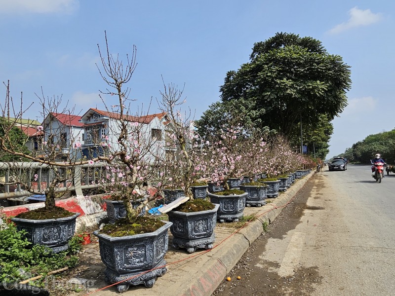 Có một ngôi chợ quê giữa lòng Hà Nội