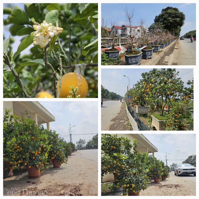 Có một ngôi chợ quê giữa lòng Hà Nội