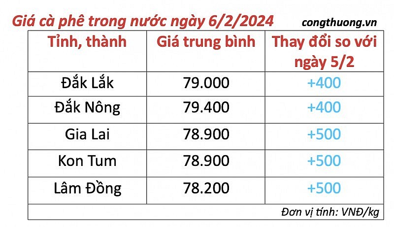 Giá cà phê mới nhất ngày 6/2/2024