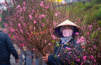 Dự báo thời tiết Hà Nội ngày mai 7/2/2024: Hà Nội đón đợt không khí lạnh mới