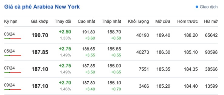 Giá cà phê hôm nay; ngày 8/2/2024: Giá cà phê trong nước tăng trở lại Giá cà phê hôm nay; ngày 8/2/2024: Giá cà phê trong nước