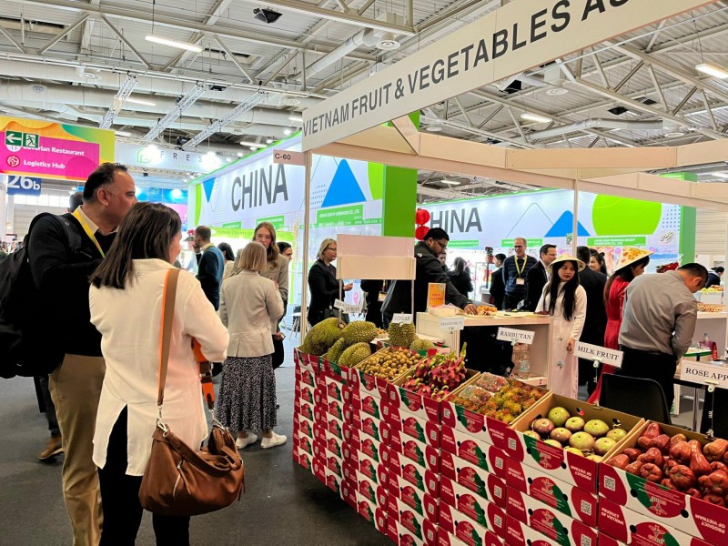 Xúc tiến xuất khẩu rau quả Việt Nam tại Hội chợ Fruit Logistica 2024 Xúc tiến xuất khẩu rau quả Việt Nam tại Hội chợ Fruit Logistica 2024