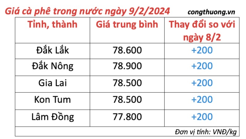 Giá cà phê hôm nay; ngày 9/2/2024: Giá cà phê trong nước giữ ở mức cao Giá cà phê hôm nay; ngày 9/2/2024: Giá cà phê trong nước tăng nhẹ