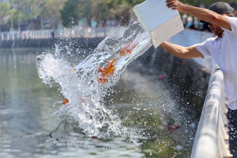 Ngày Xuân tản mạn về các lễ Tết cổ truyền ở Việt Nam Ngày Xuân tản mạn về các lễ Tết cổ truyền ở Việt Nam