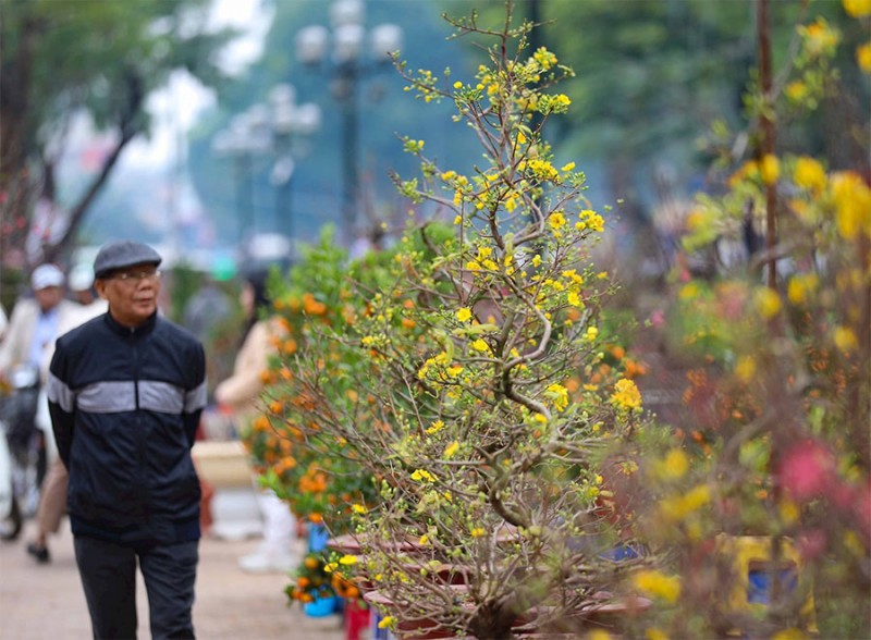 Ngày Xuân tản mạn về các lễ Tết cổ truyền ở Việt Nam Ngày Xuân tản mạn về các lễ Tết cổ truyền ở Việt Nam